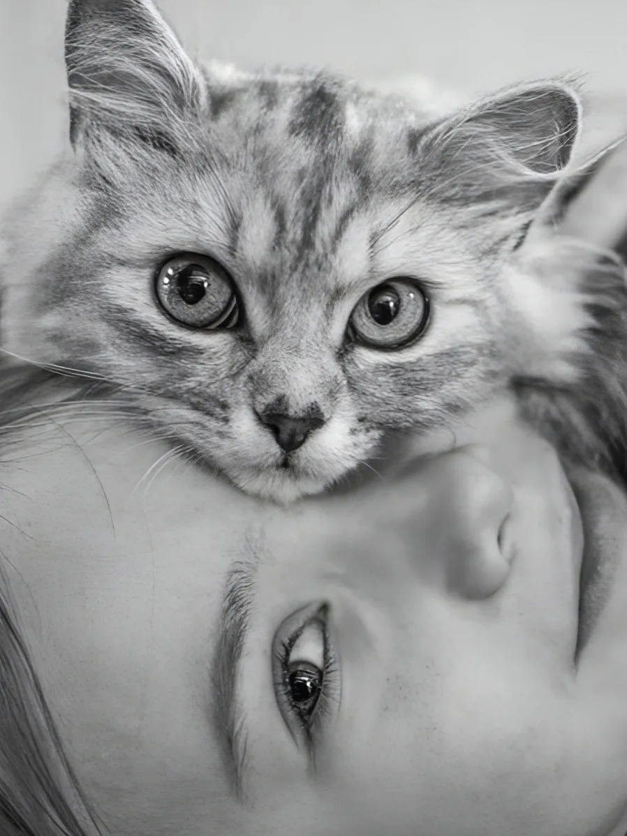 Коты ложатся туда, где больно, тихонько греют бока и души. Коты не люди – то жаль невольно… Коты уме