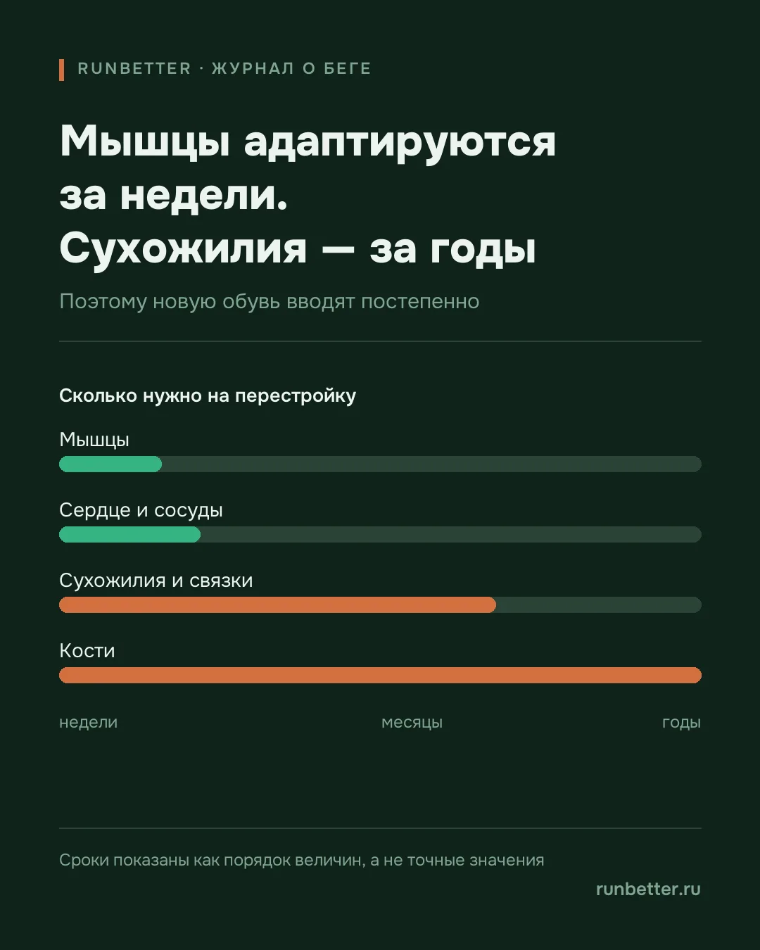 Ассефа, Бекеле и два травмированных ахилла. Виноват ли карбон