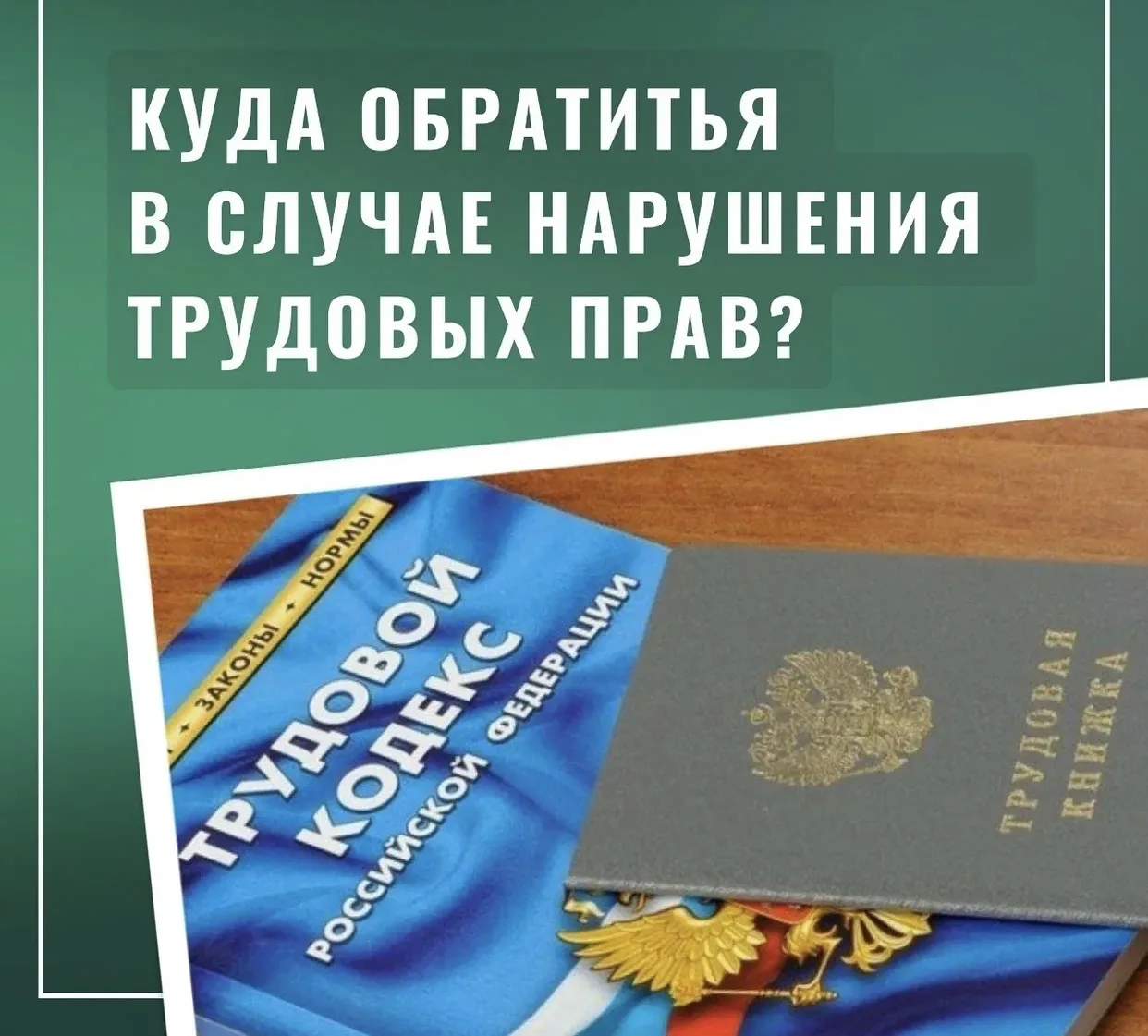 📢 Куда обратиться, если нарушены ваши трудовые права?