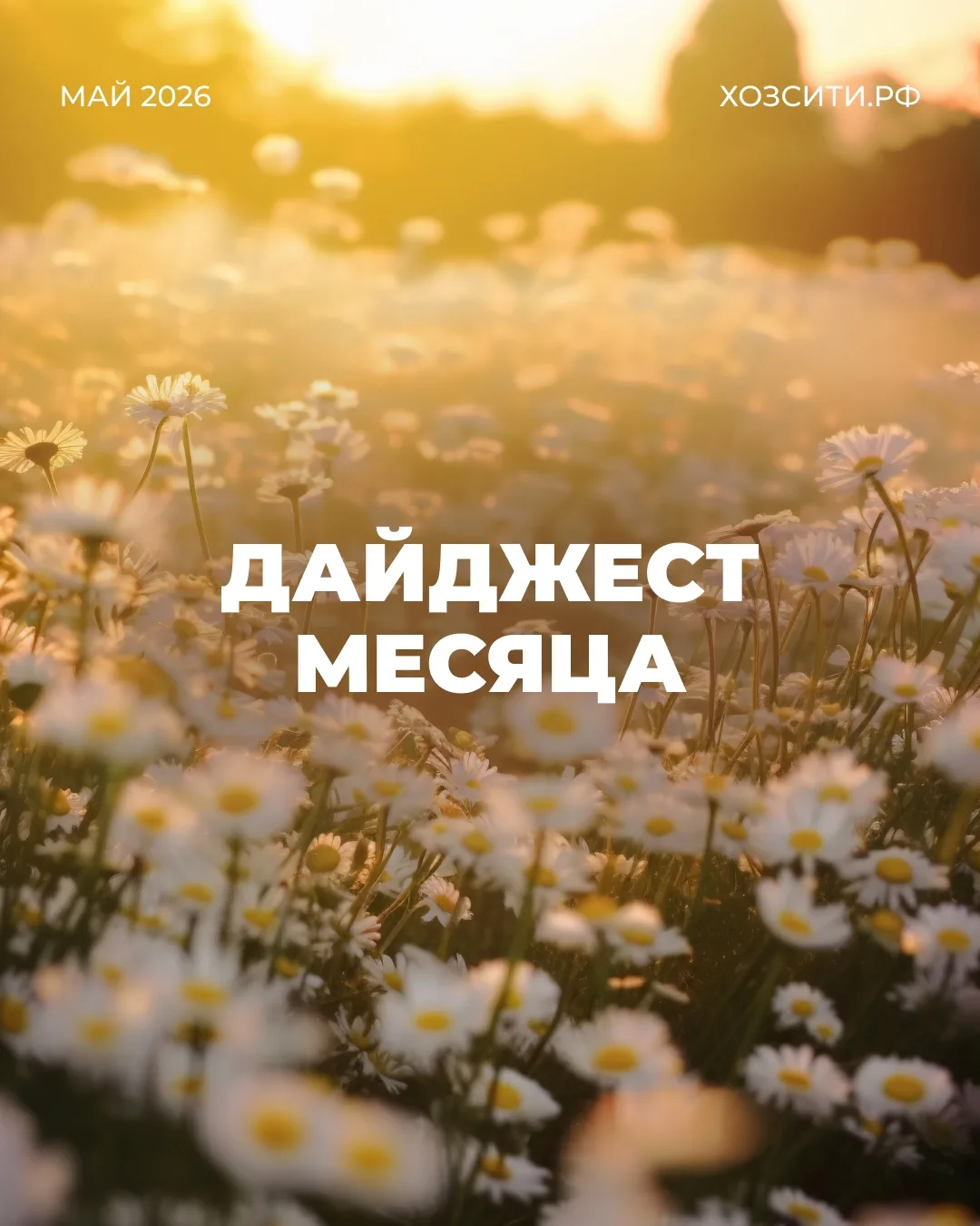 Все посты за месяц в одном месте!