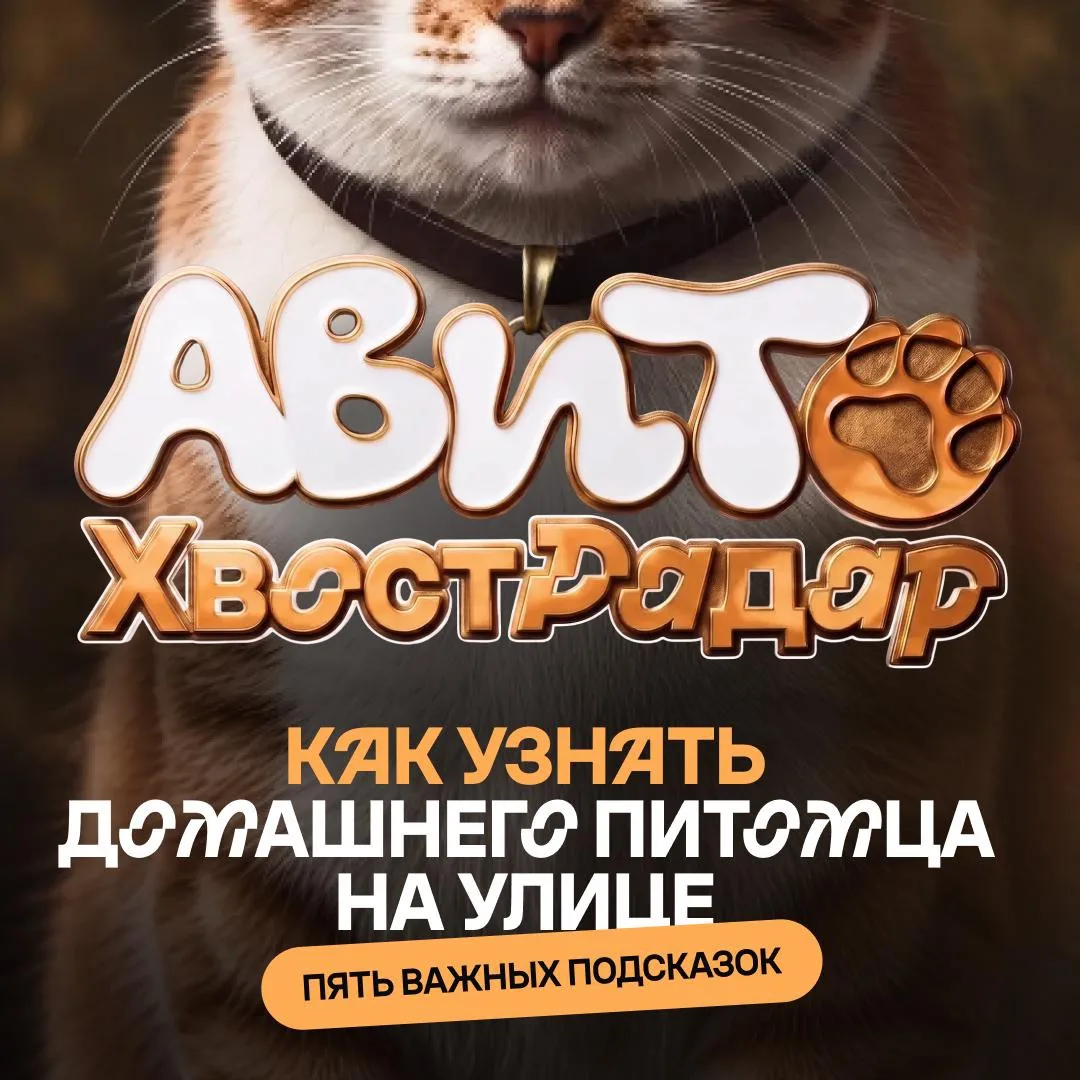 Изображение 1 к публикации «Авито для бизнеса»