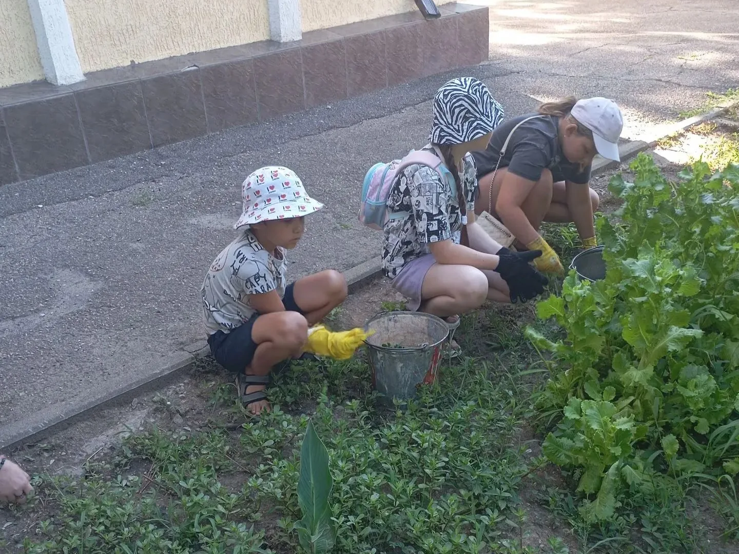 🌞Практика летом в рамках трудового воспитания
🌳Активисты волонтерского экологического отряда пригл