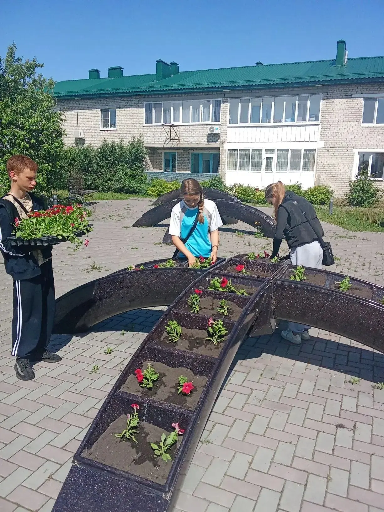 🌸 В селе Сладково продолжается озеленение общественных территорий!

Проводится высадка цветов в клу