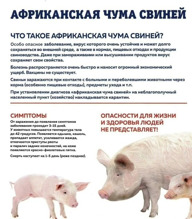 Уважаемые владельцы личных подсобных хозяйств Режевского муниципального округа!