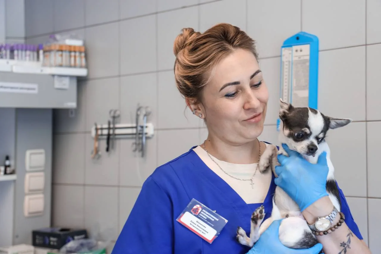 🧑‍⚕️ Продолжая праздничный день – о людях ветеринарной службы Подмосковья