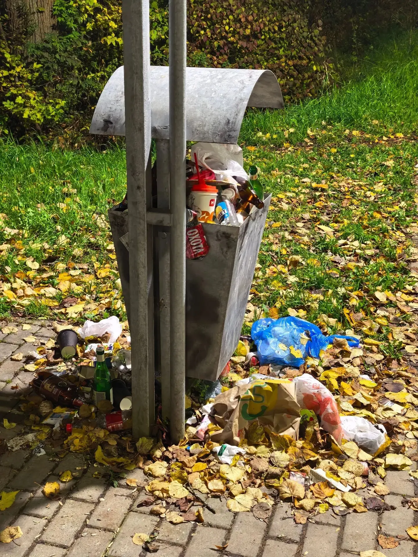 🗑 «Урны поставили, а убирать забыли»: жители Медного жалуются на мусор