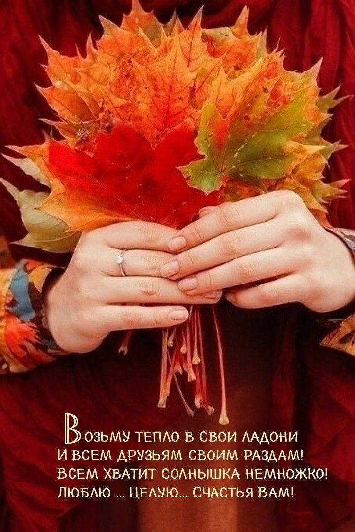 Понравилась открытка? Оставьте, пожалуйста, реакцию 🩷