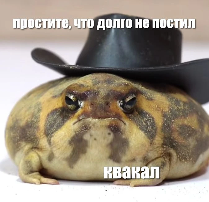 любим лягушек и жабок