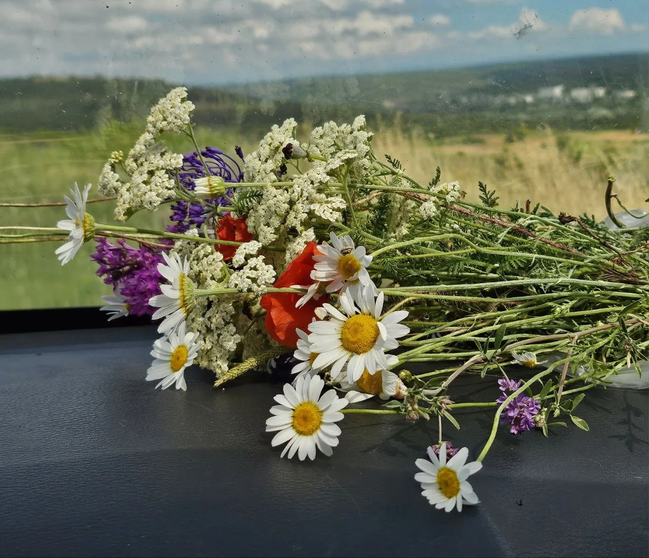 Всем добра в середине рабочей недели🌺

В Севастополе без существенных осадков. Ветер ночью восточны