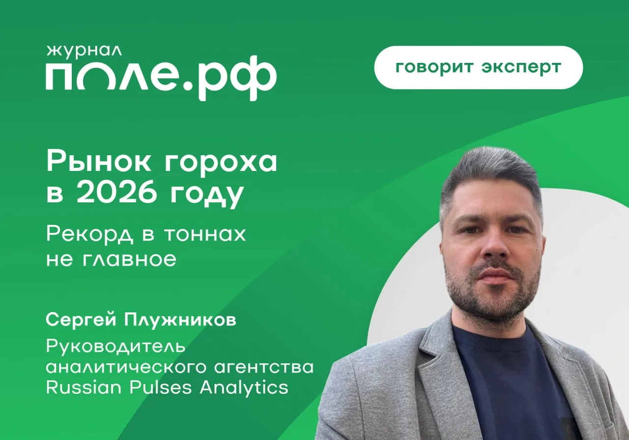 🫛 Рекордный урожай гороха в тоннах — не главная цель для России в 2026 году, важнее финансовая отда