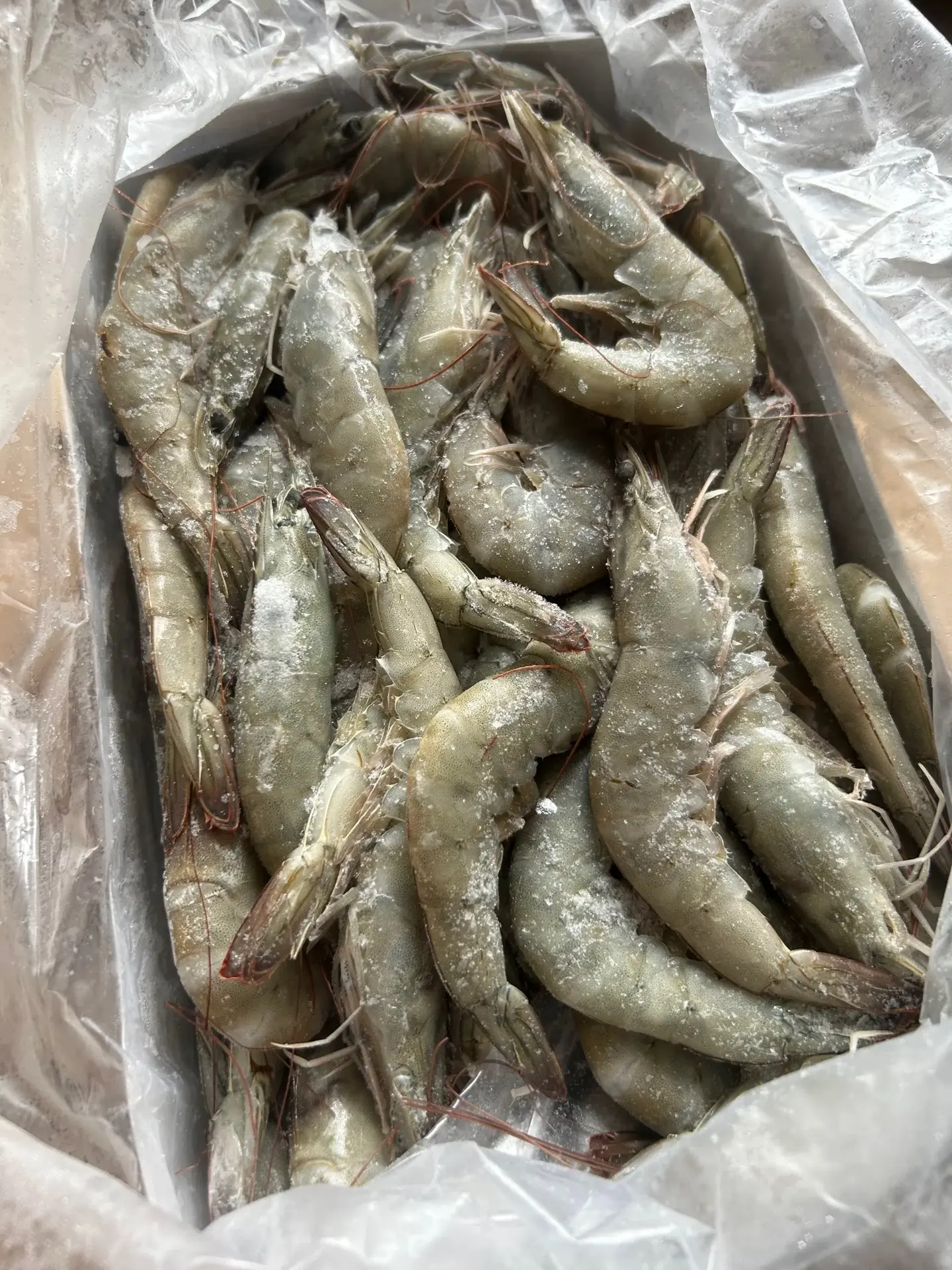 Продолжаем акцию на свежемороженую креветку  🦐