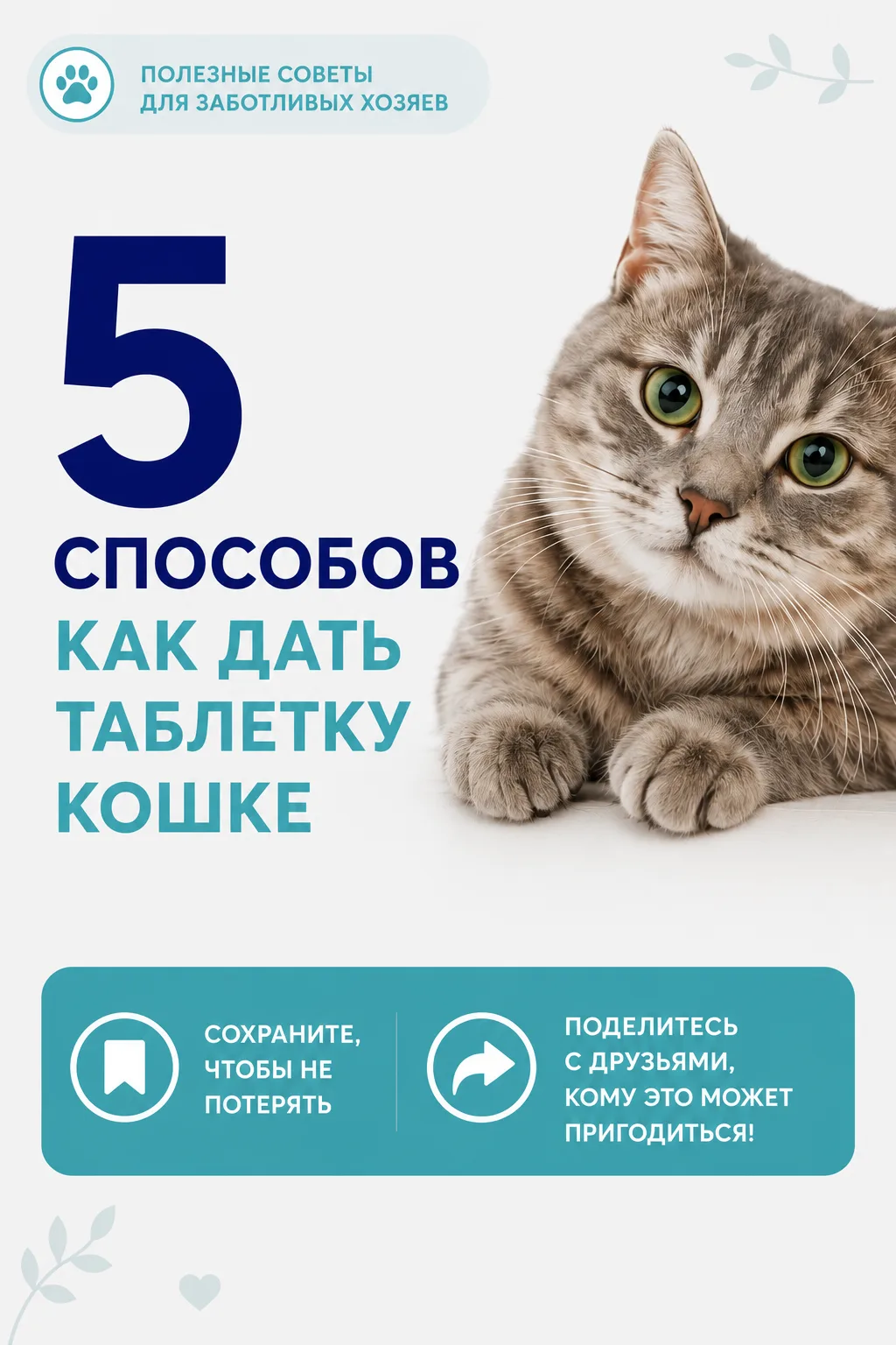 Подготовили для вас полезные карточки: Как дать таблетку кошке.
Поделитесь в комментариях, каким спо