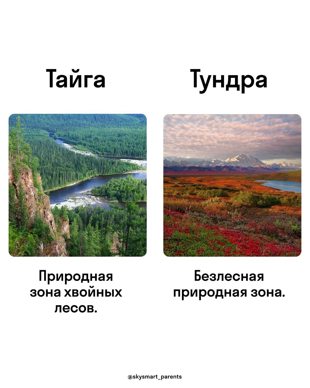 Сохраняйте ✅
И записывайтесь в нашу онлайн-школу на уроки с репетиторами по ссылке https://go.skysma