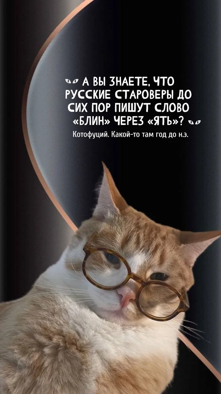 #котрфуций #юмор