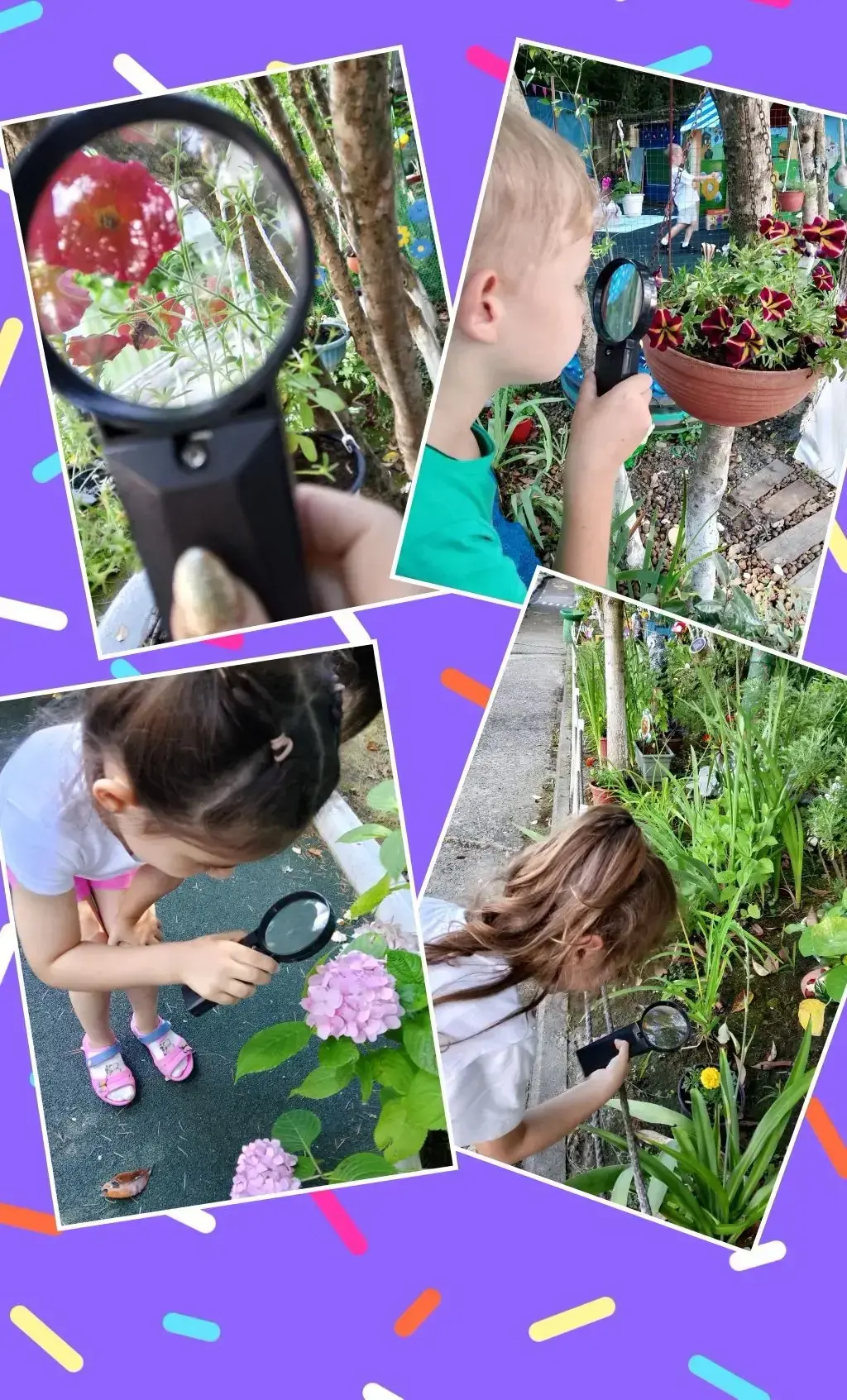 🔬 Неделя экспериментов подошла к концу! 🌱💧💨
В течение недели воспитанники  с интересом знакомили