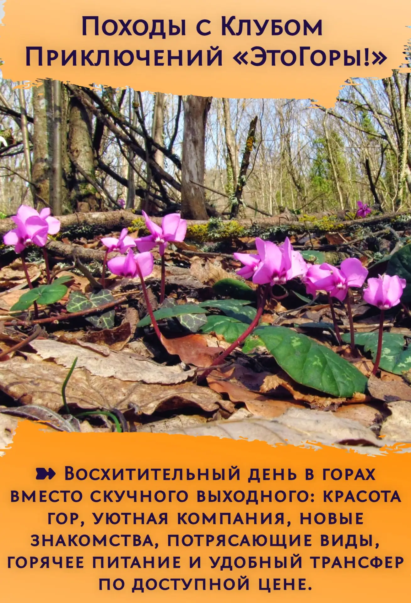 ➽ Восхитительный день в горах вместо скучного выходного: красота гор, уютная компания, ...
