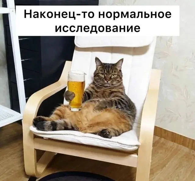 Пиво может положительно влиять на кишечник, — ученые