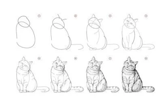 Рисуем котика поэтапно