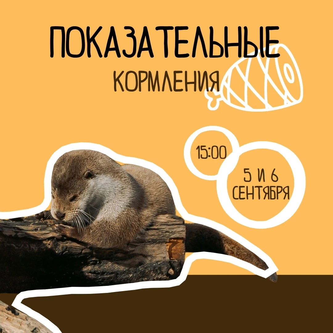 🍽 Обещают, что выходные будут тёплыми, а мы обещаем сделать их ещё и интересными. Ждём...