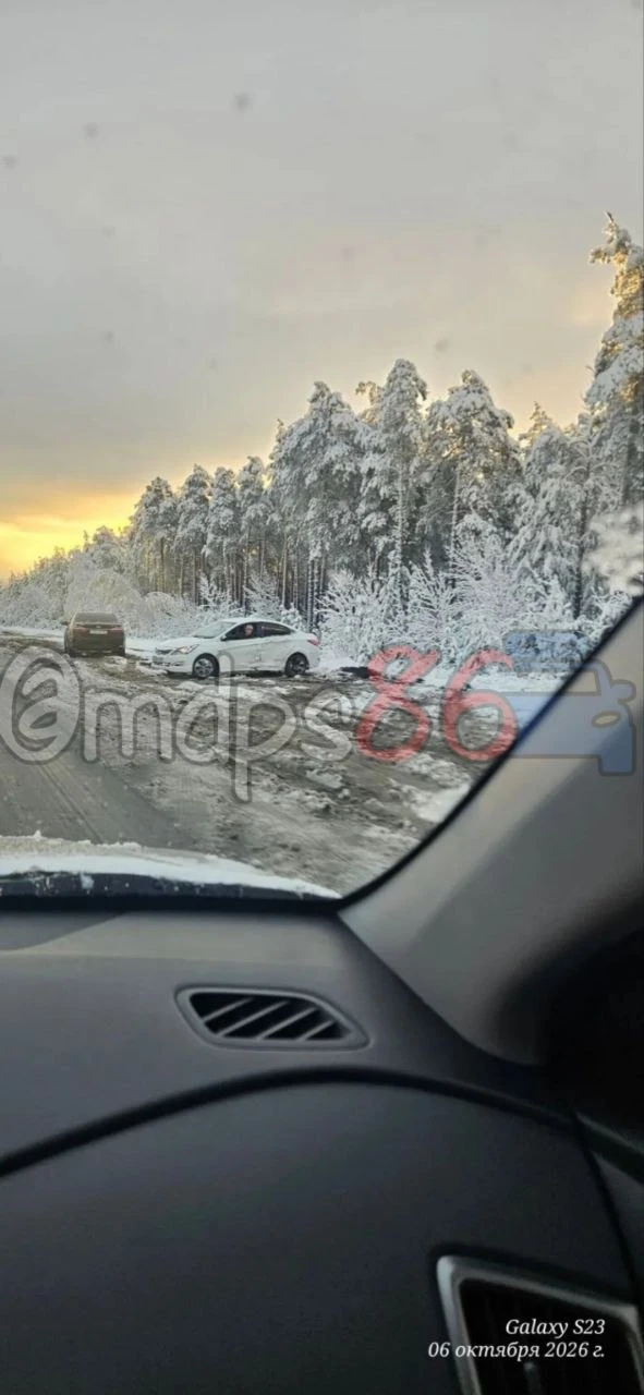 С солнечного в город возле птицевод севера