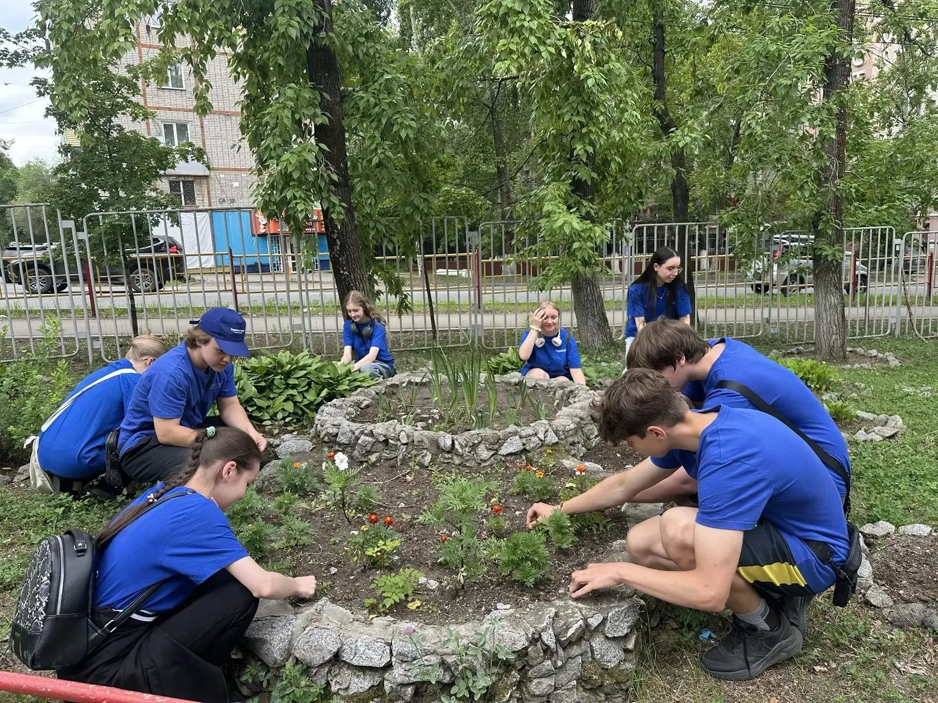 🎶 «Концерт красоты: школьные клумбы в ритме лета!» 🎶