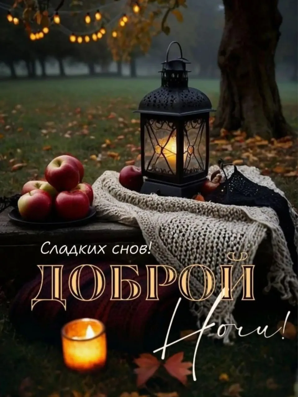 🥱 #доброй_ночи