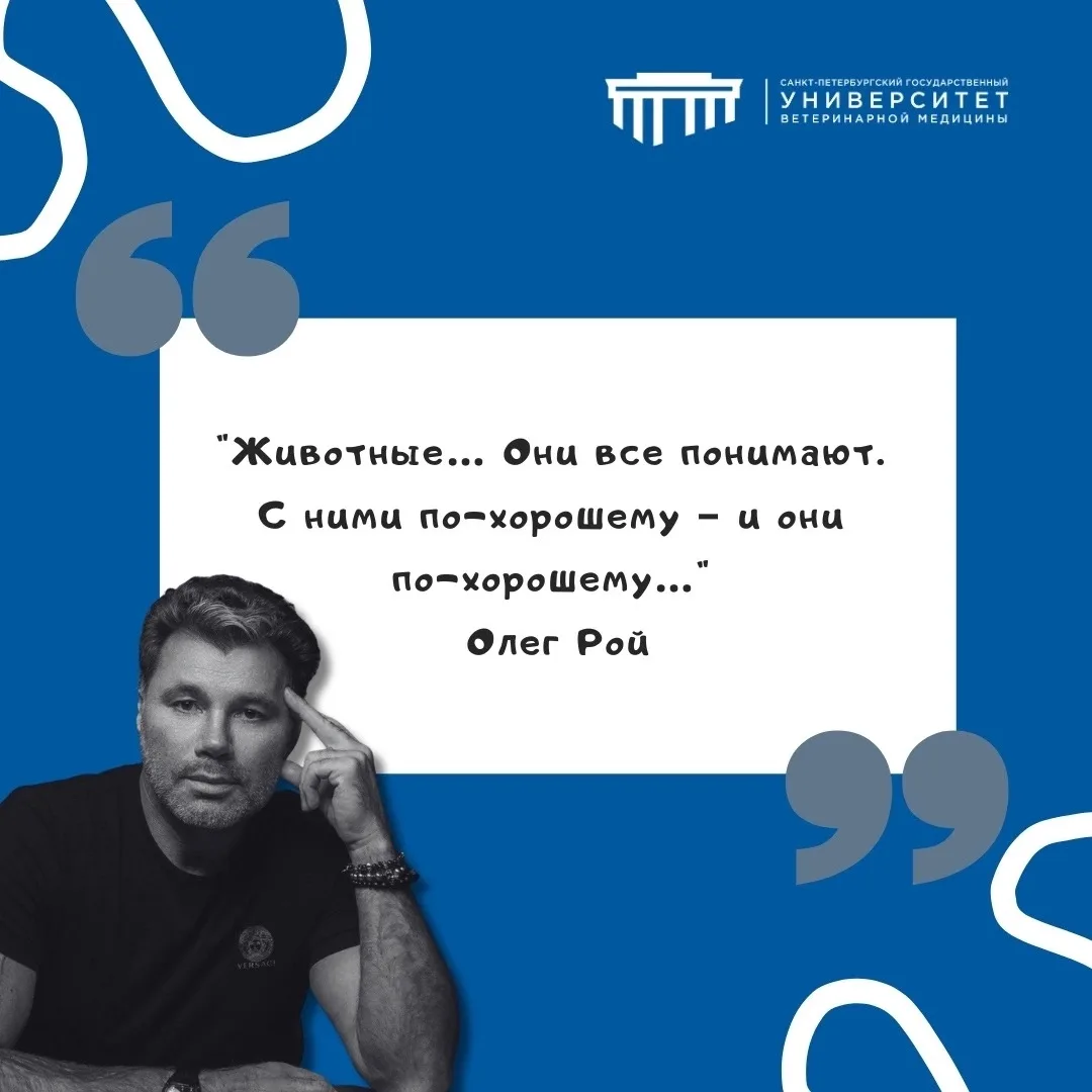 #фразадня #СПбГУВМ