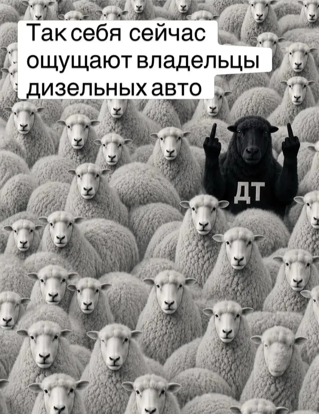 😏 Владельцы дизельных авто сейчас