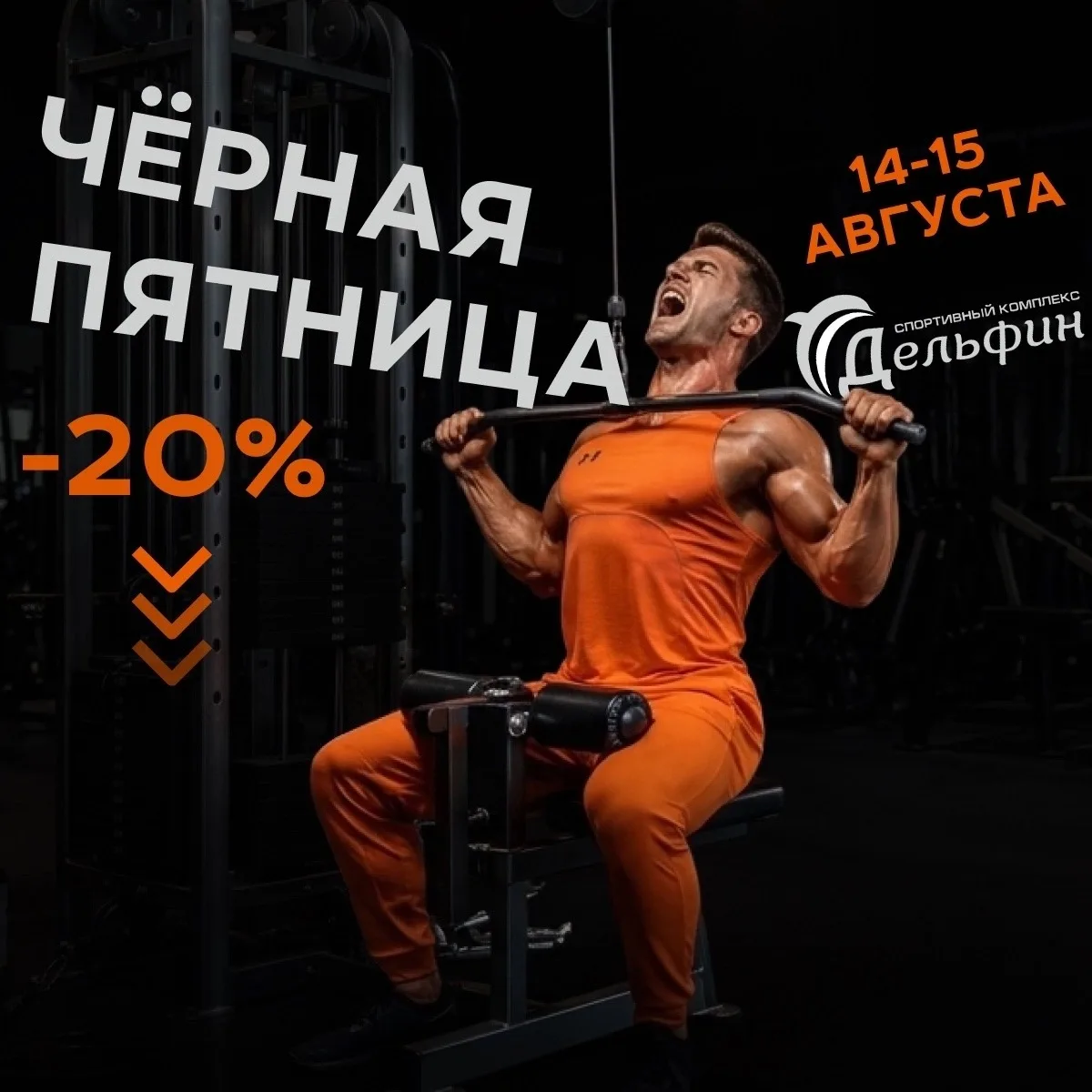Черная пятница в «Дельфине» — взрываем цены!