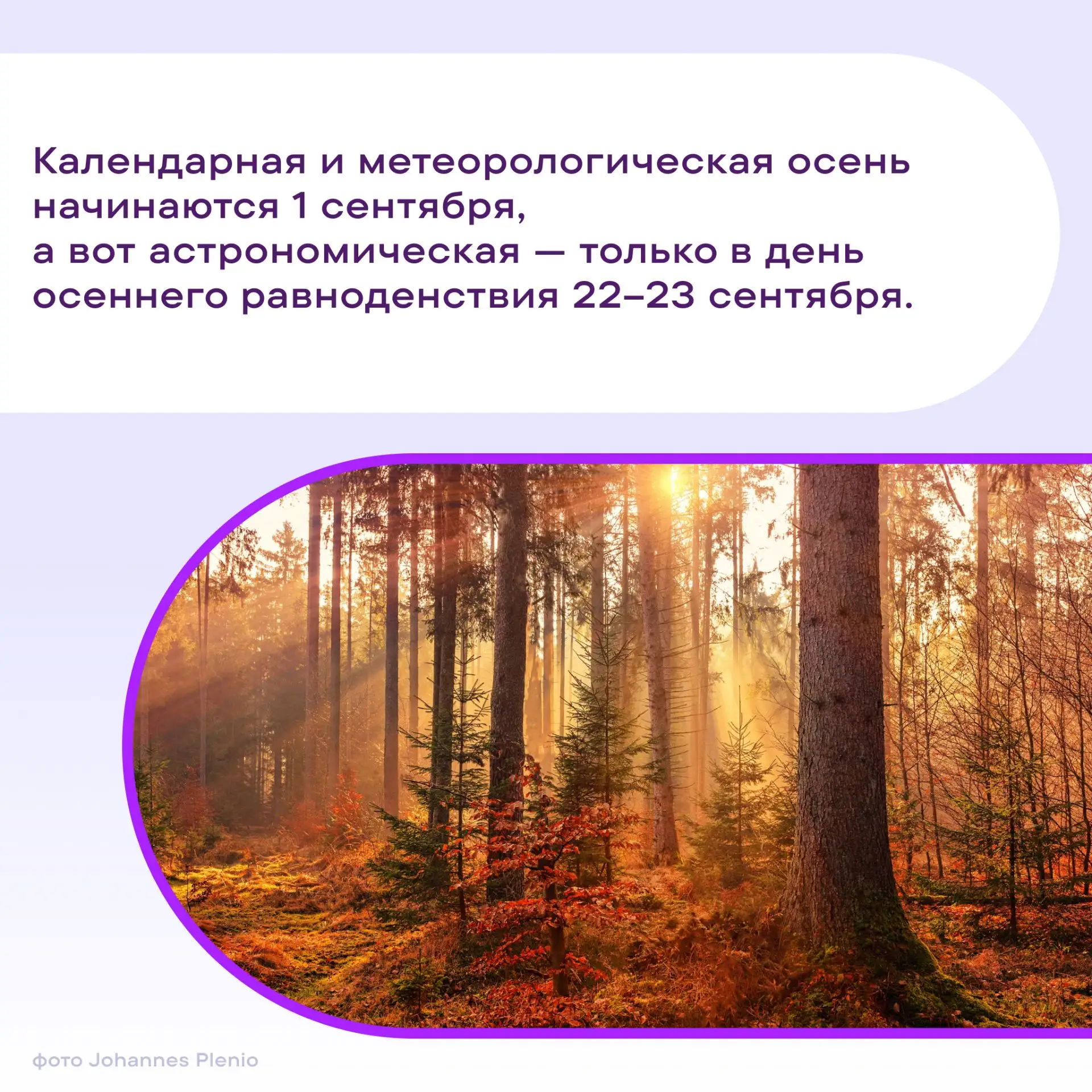 🌾 «Унылая пора» — это Пушкин погорячился. С точки зрения науки осень — время бурной хи...