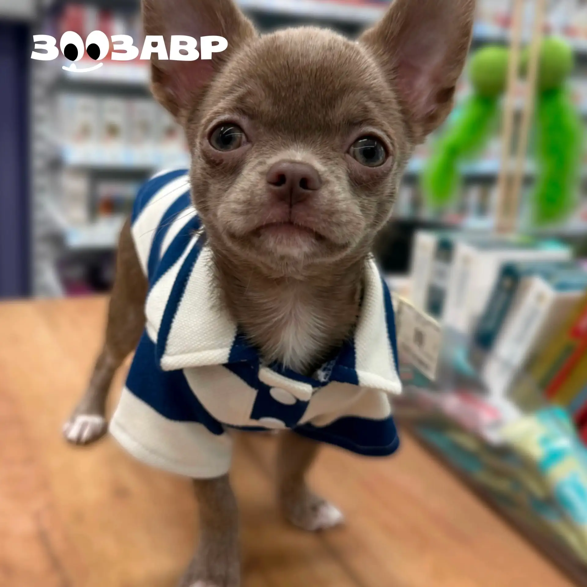 Красивый фотоотзыв мы получили от наших покупателей 💗
Владислава Б, отмечает: 
Качественная, красив