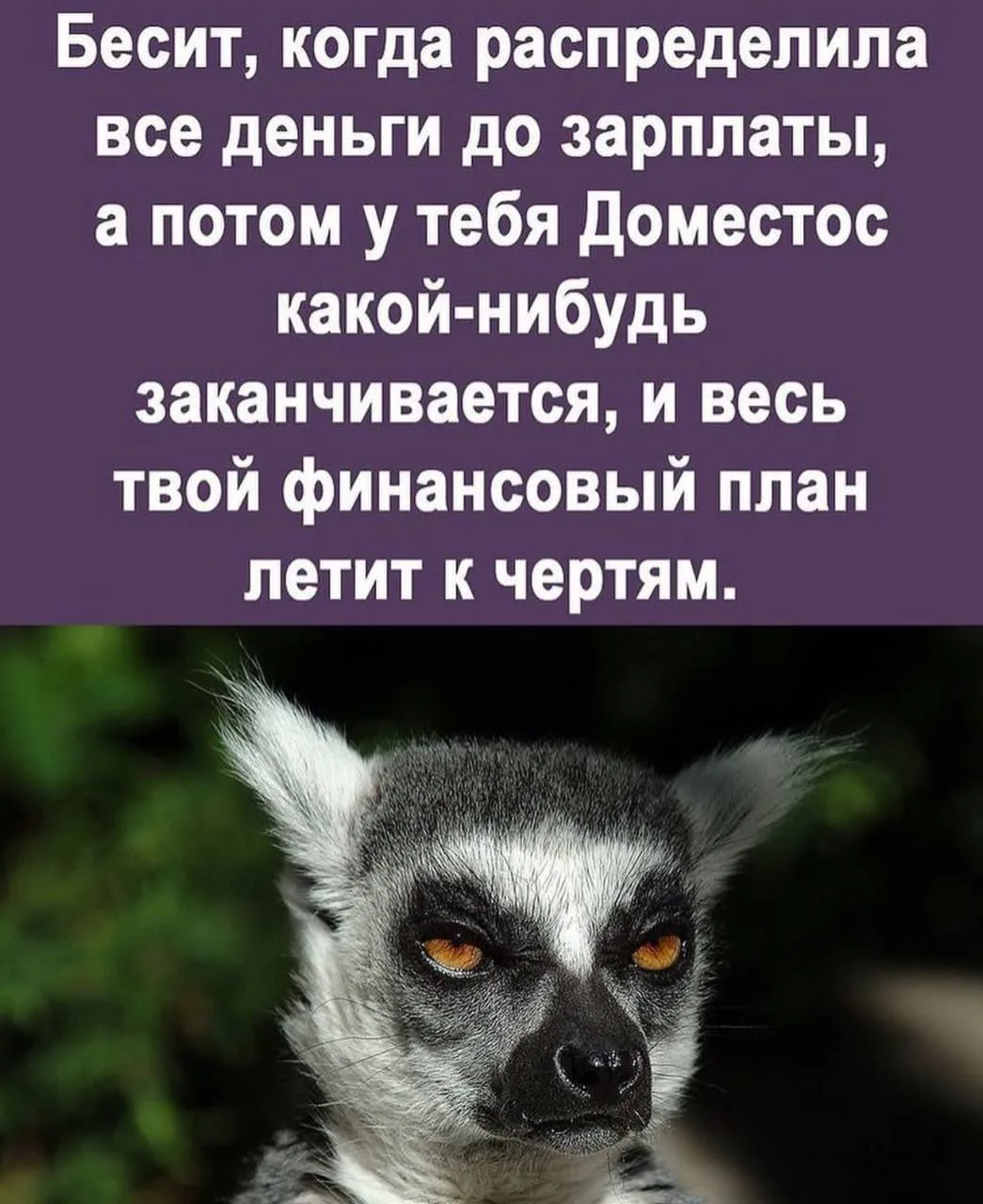 Женское настроение💃