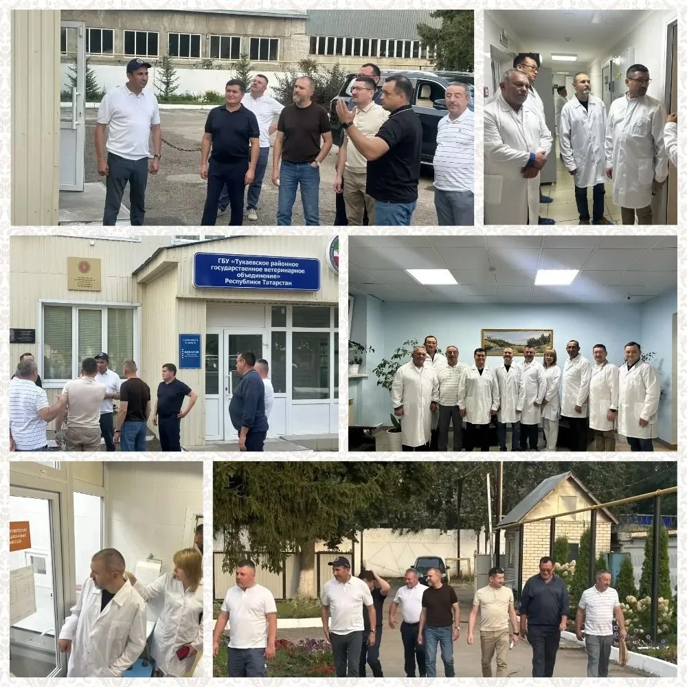 🔷  В рамках развития межрегионального сотрудничества и обмена передовыми практиками со...