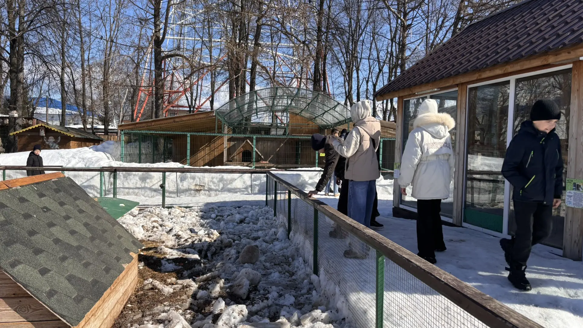 🐫Ученики 5Р класса посетили зооуголок «Ковчег» в Чебоксарском городском детском парке им. космонавта