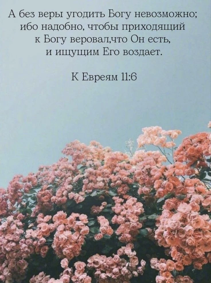 👉 Наши каналы. Подписаться.