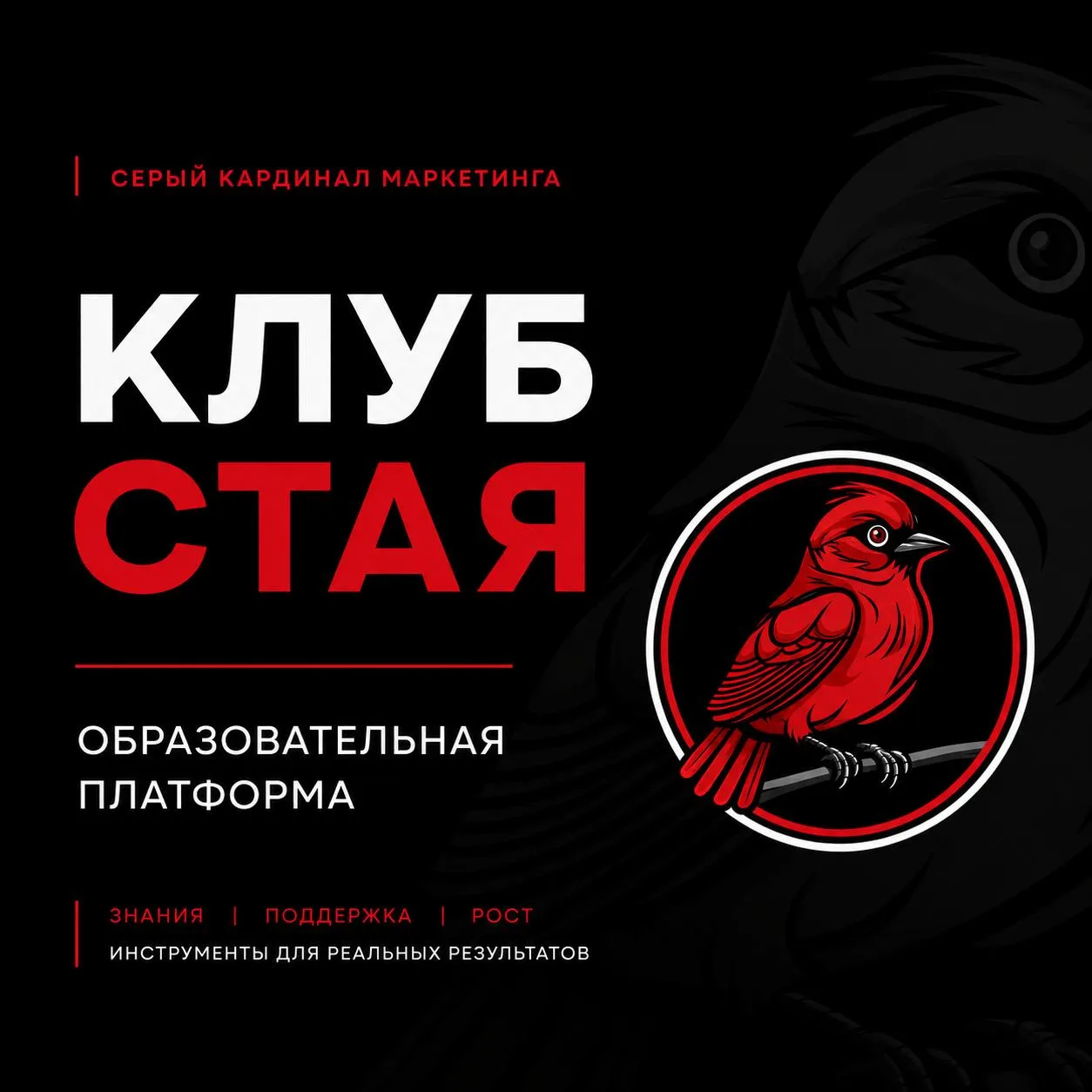 Во вторник презентовала Стае⭐️ собственную обучающую платформу.