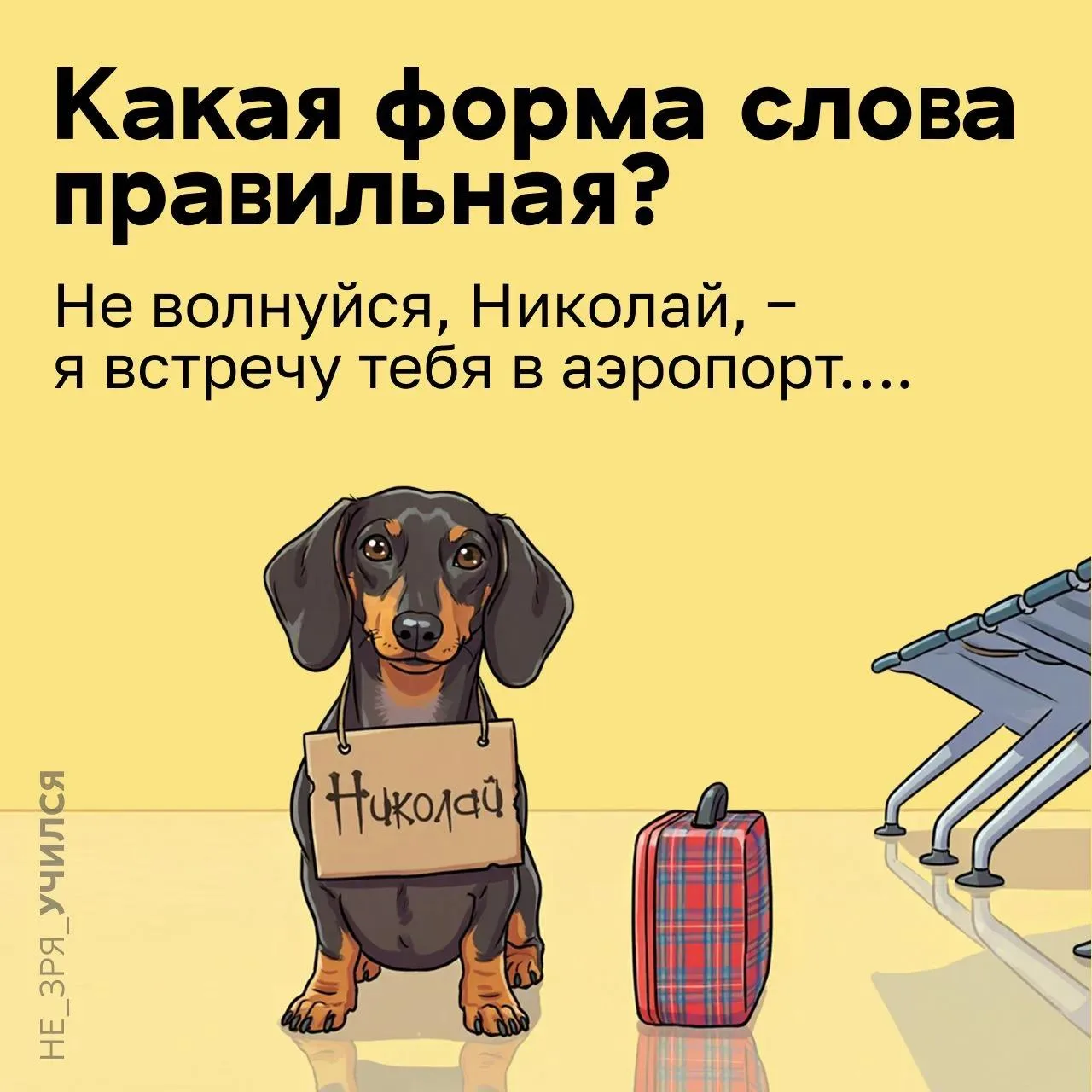 🤔 В этой распространенной фразе часто ошибаются:
Не волнуйся, Николай, − я встречу тебя в аэропорт…