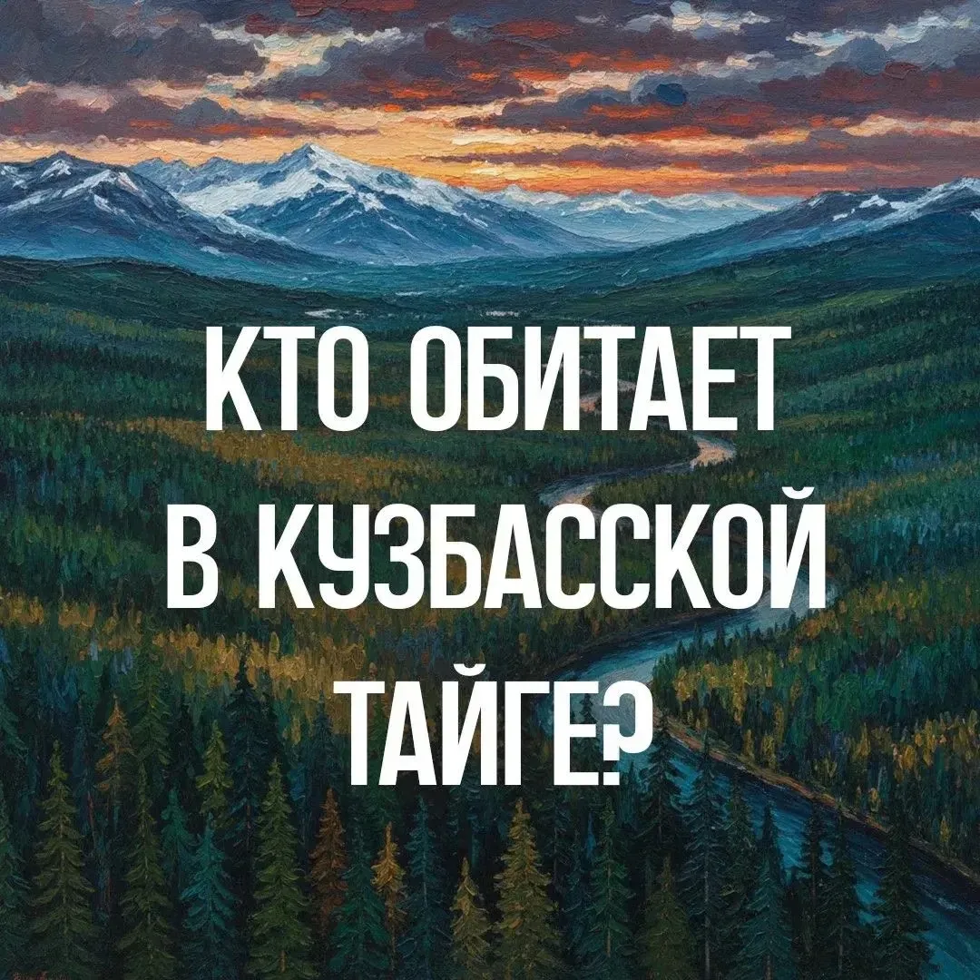 🌲 Кузбасская тайга хранит немало секретов