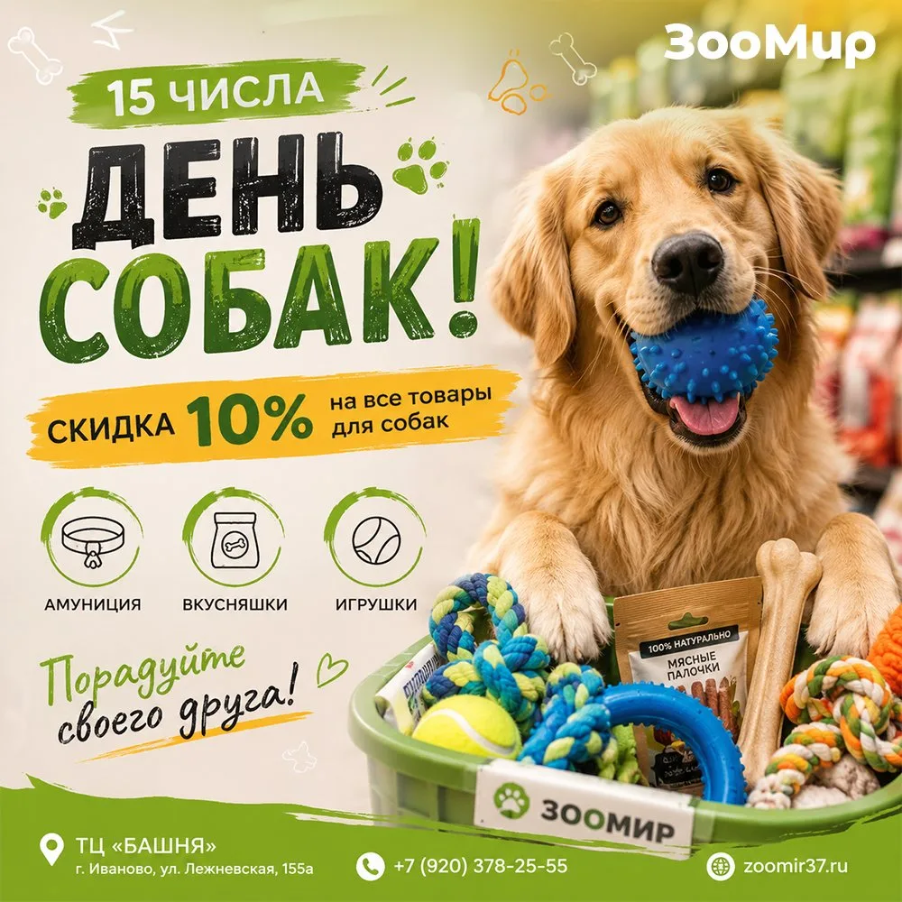🐕 Завтра 15 число, а значит, в «ЗооМир» день собак!
