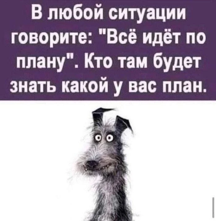 Картинки для настроения😊 | Юмор