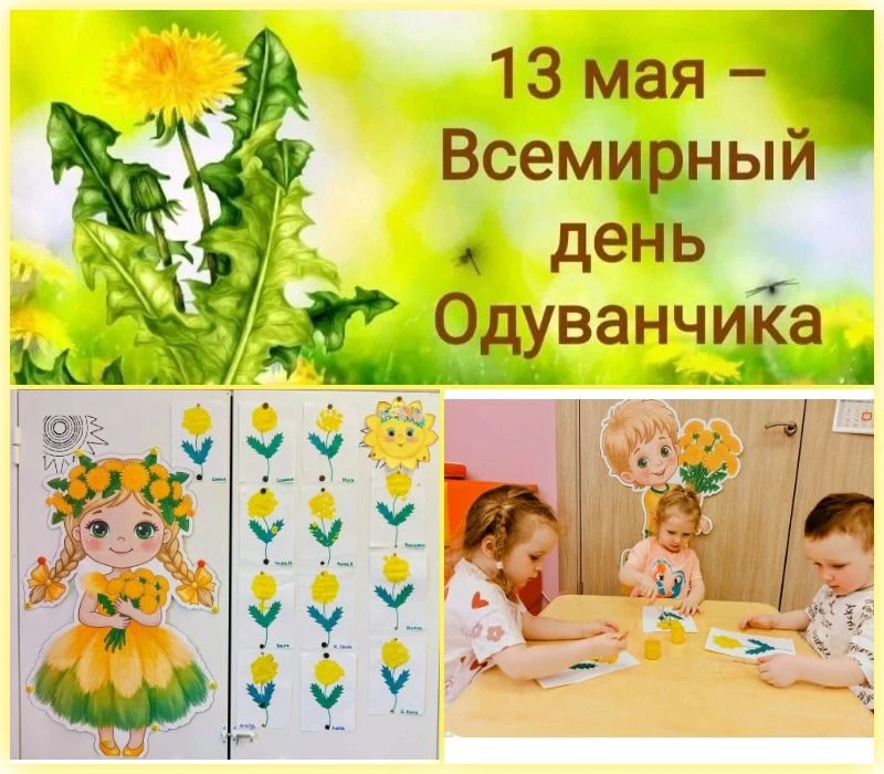 Одуванчики цветы