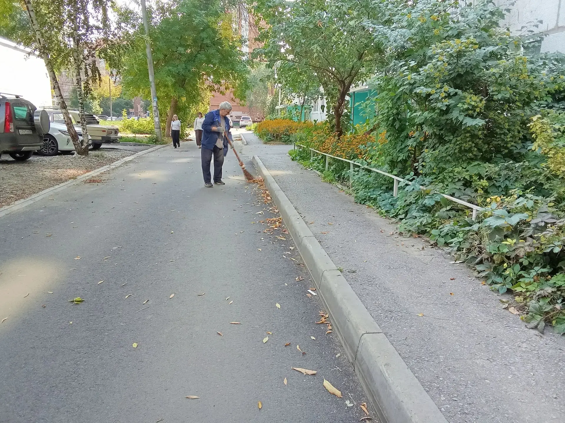 Осень дарит красоту, а мы - заботу о нашем дворе.