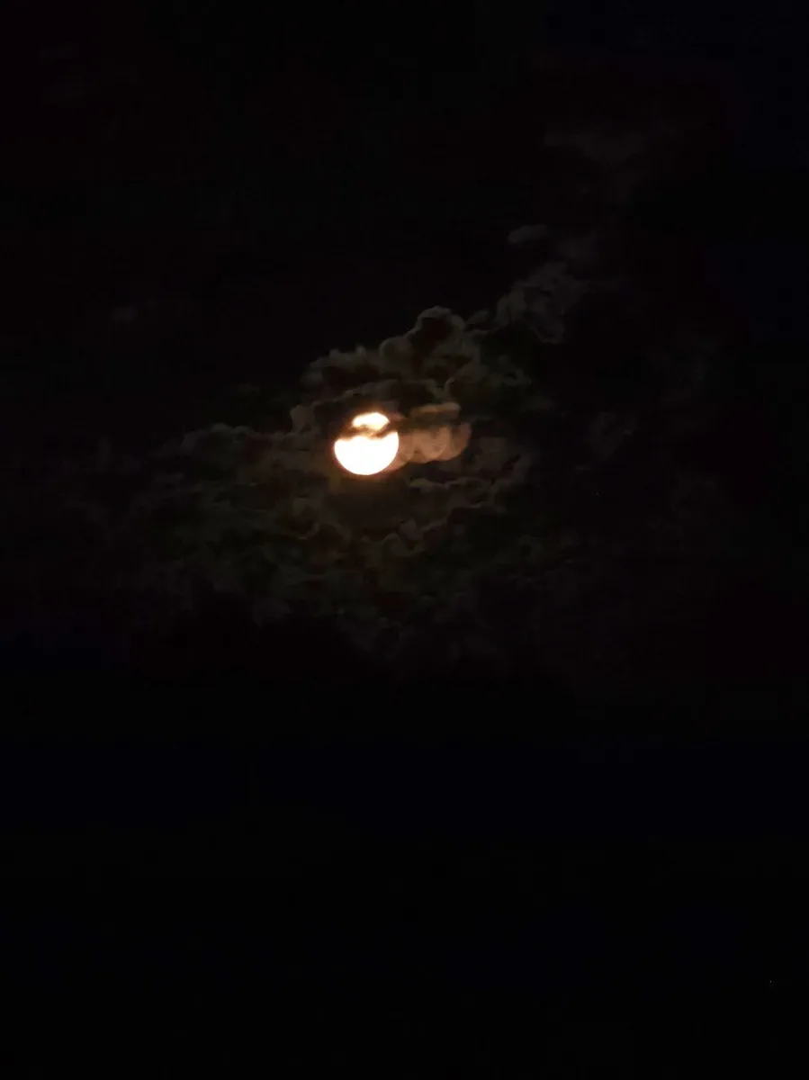 Оленья Луна повисла над Тобольском🌕

Яркий лунный диск озарил ночное небо над городом. Такое назв