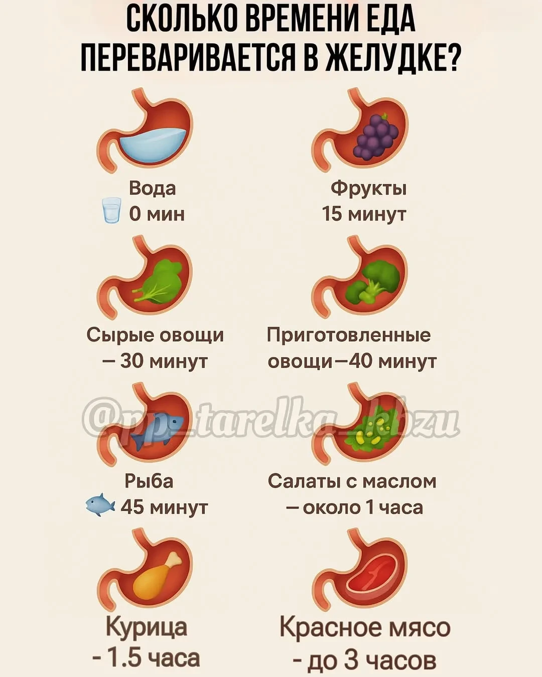 Изображение 1 к публикации «Домашний Доктор»