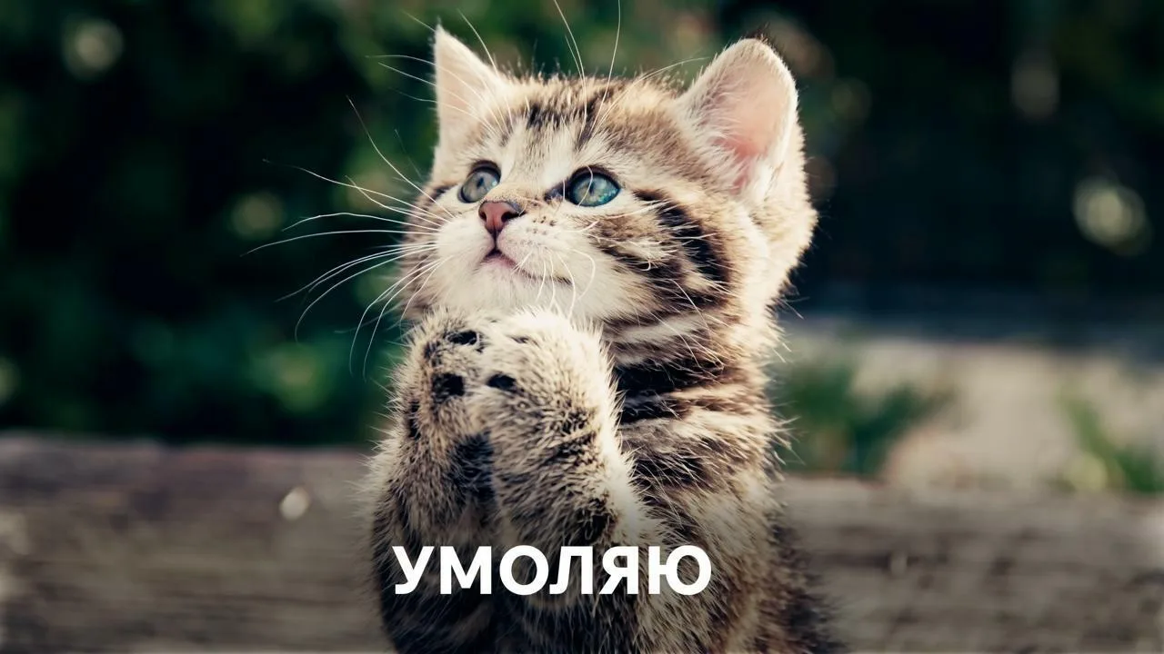 Ты: научилась делать депиляцию воском