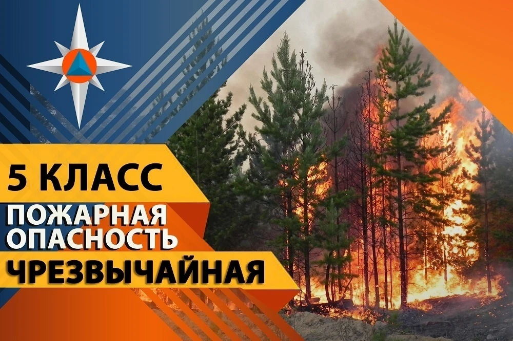 🔥 Экстренное предупреждение от МЧС по Ростовской области! 🔥