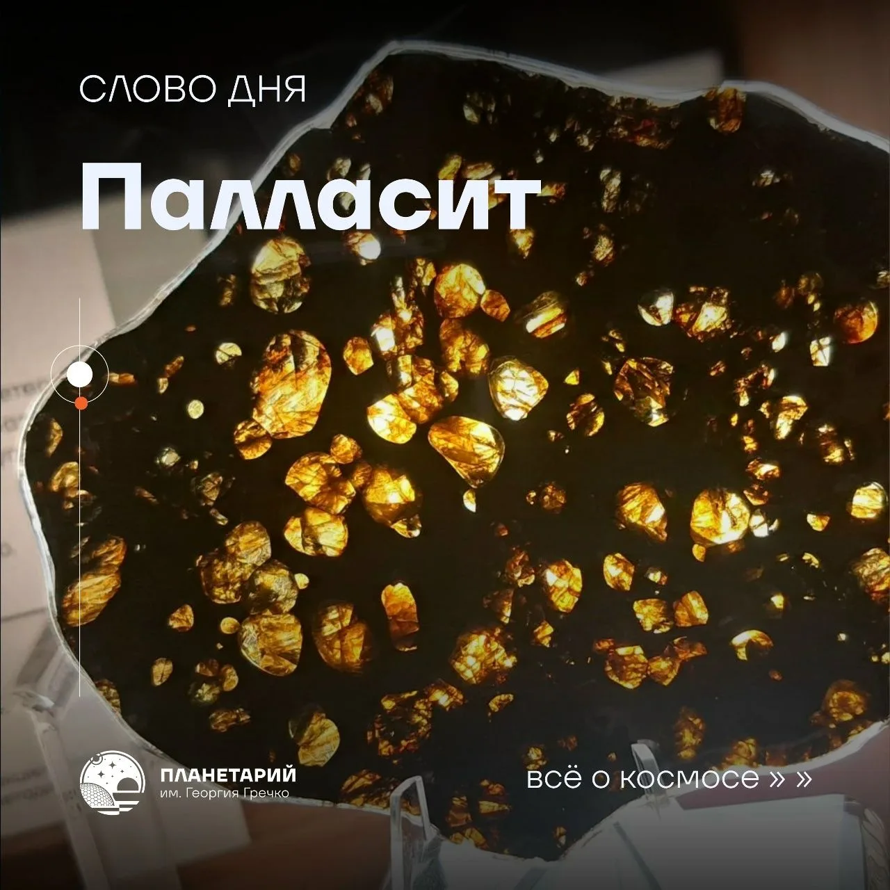 Слово дня: ПАЛЛАСИТ