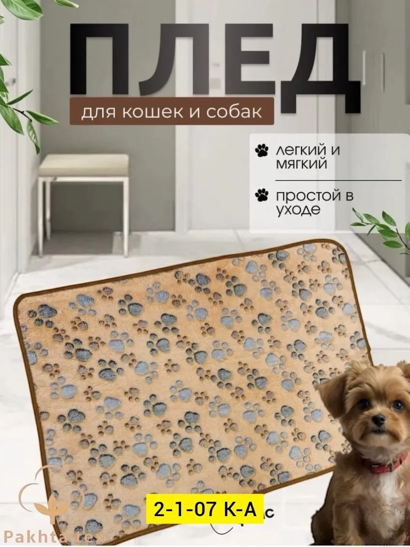https://vk.com/photo-184814919_492942435