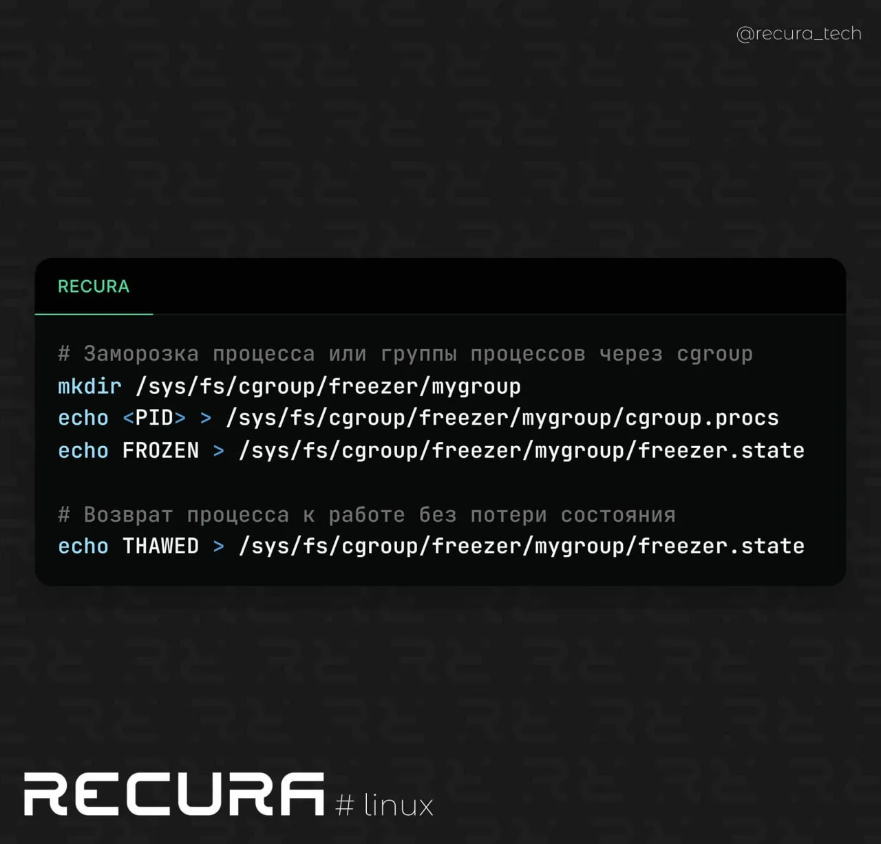 🐧 Мгновенная заморозка и разморозка процессов через cgroups freezer