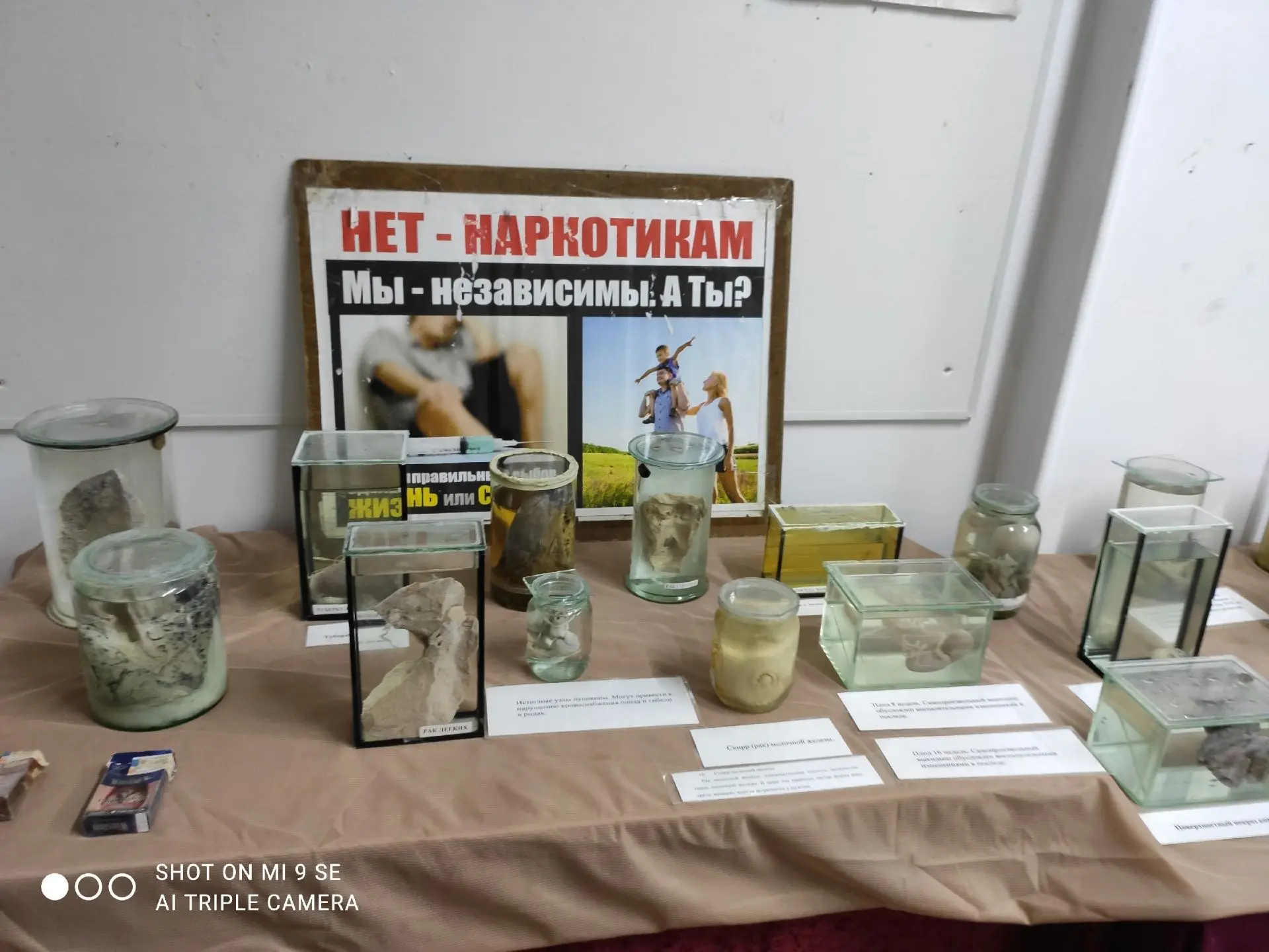 Сегодня в Доме-музее Кузебая Герда прошел музейный урок на тему "Кунсткамера". Обучающи...